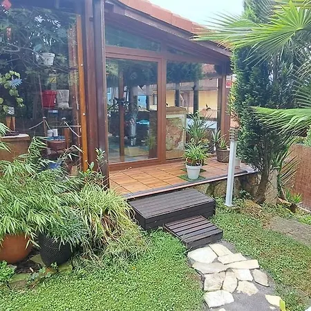 La Casa De Las Palmeras, Ampuero. Ampuero