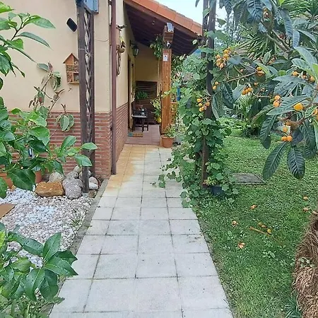 La Casa De Las Palmeras, Ampuero. Apartment *