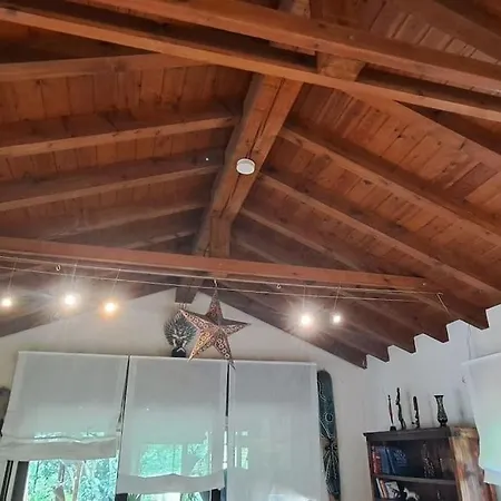 La Casa De Las Palmeras, Ampuero. Hotel Ampuero